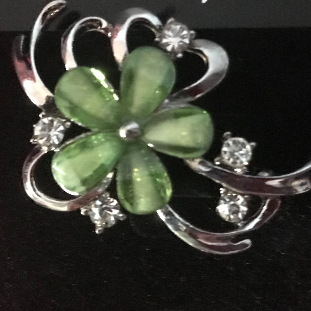 💕💕NWT Jewelry Brooch💕💕